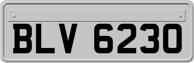 BLV6230