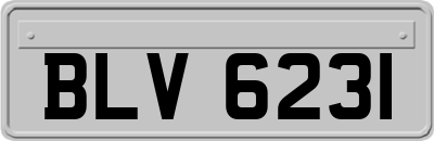 BLV6231