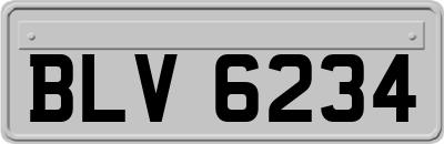 BLV6234