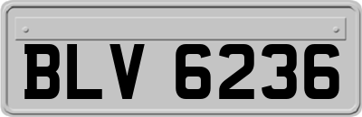 BLV6236