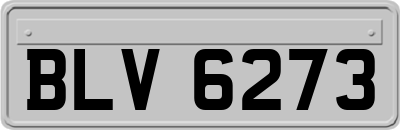 BLV6273
