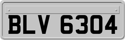 BLV6304