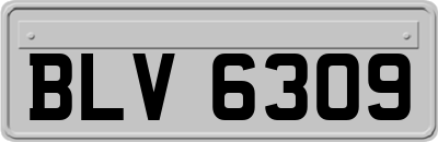 BLV6309