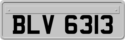 BLV6313