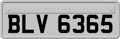 BLV6365