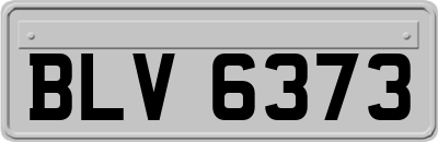 BLV6373