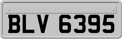 BLV6395
