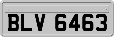 BLV6463
