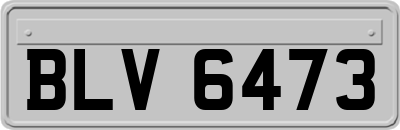 BLV6473