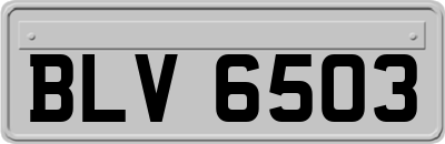 BLV6503