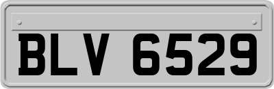 BLV6529