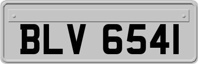 BLV6541