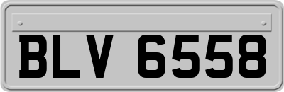 BLV6558