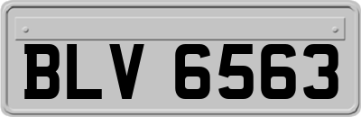 BLV6563