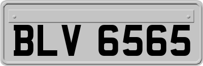 BLV6565