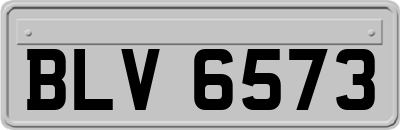 BLV6573