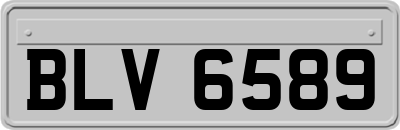 BLV6589