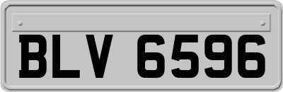 BLV6596