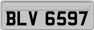 BLV6597