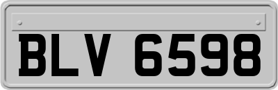 BLV6598