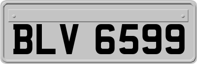 BLV6599