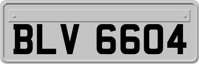 BLV6604