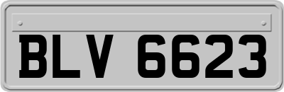 BLV6623