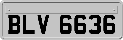 BLV6636
