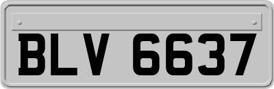 BLV6637