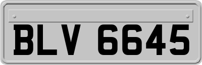 BLV6645