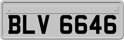 BLV6646