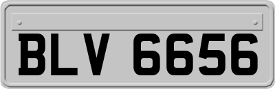 BLV6656