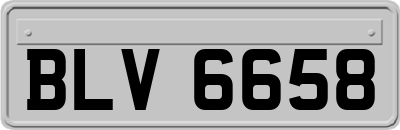 BLV6658