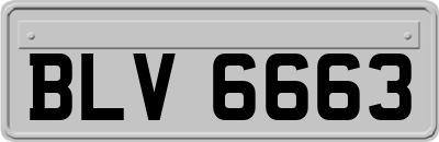 BLV6663