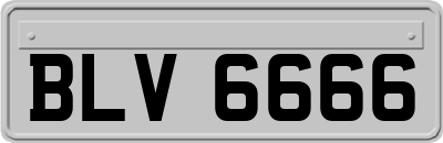 BLV6666
