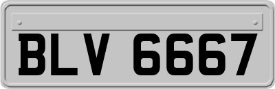 BLV6667