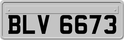 BLV6673
