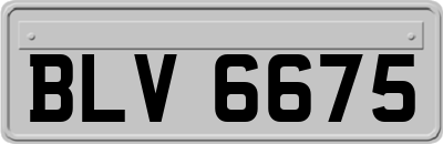 BLV6675