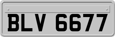 BLV6677