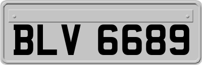 BLV6689