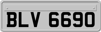 BLV6690