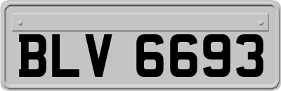 BLV6693