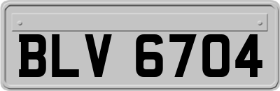 BLV6704