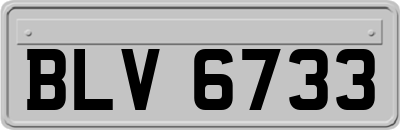BLV6733