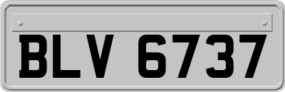 BLV6737