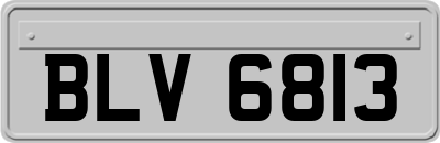 BLV6813