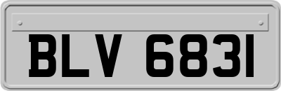 BLV6831