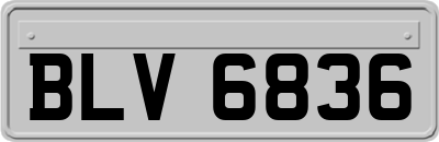 BLV6836