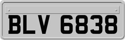 BLV6838