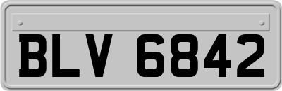 BLV6842